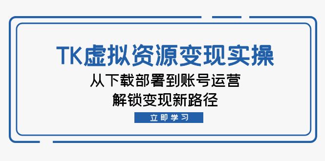 插图1–TK虚拟资料变现实操:从下载部署到账号运营,解锁变现新路径–免费资源分享站