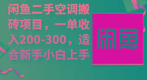 中创网