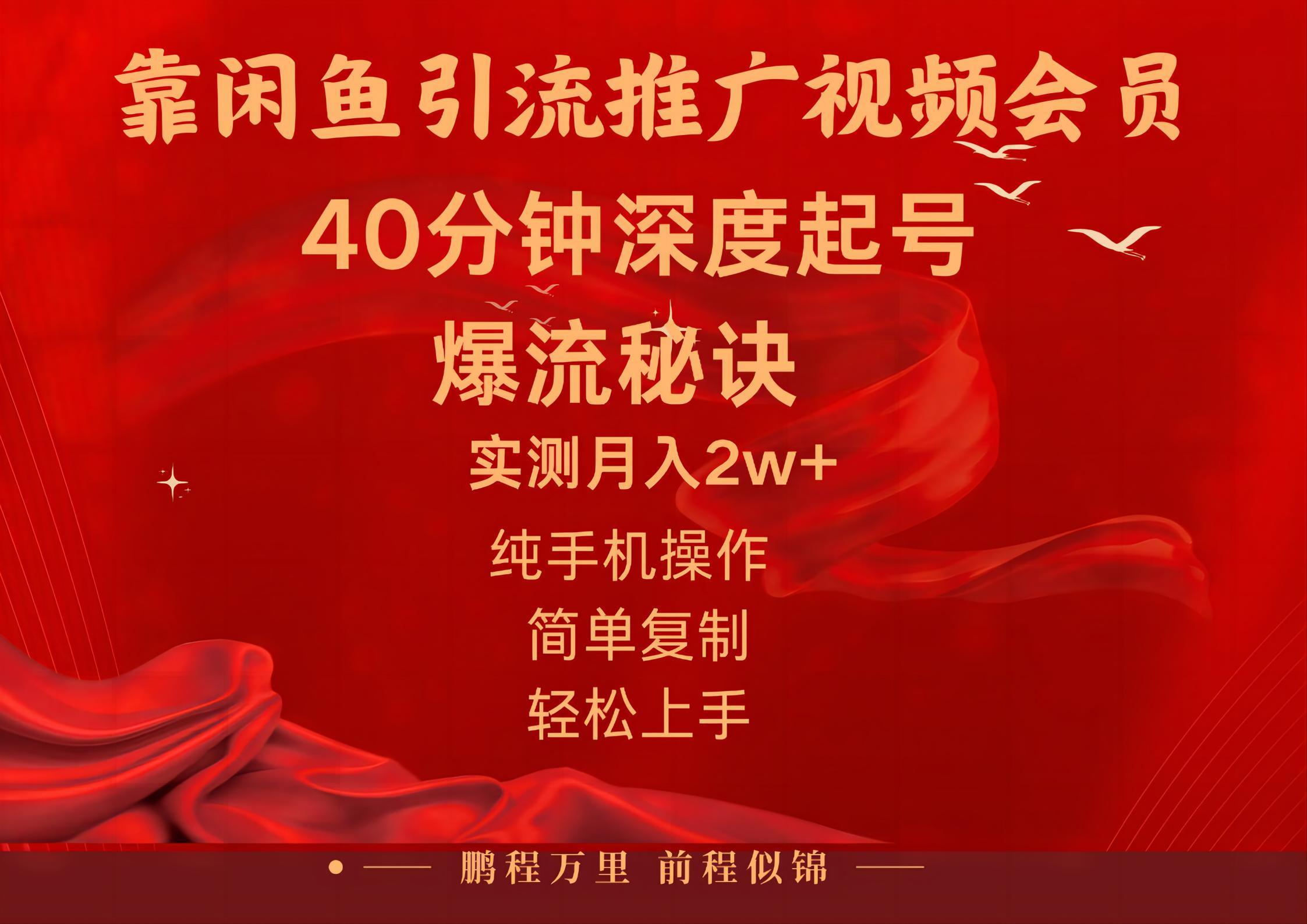 中创网