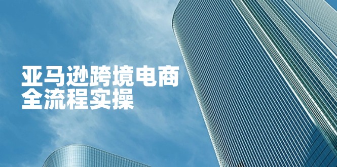 插图1–亚马逊跨境电商全流程实操,教你从零开始,掌握店铺运营与广告技巧–免费资源分享站