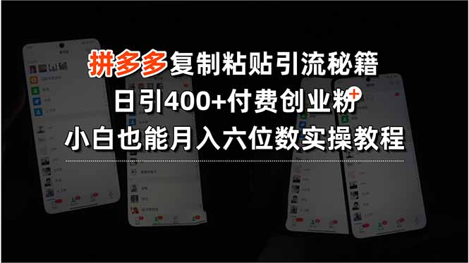 插图1–拼多多复制粘贴引流秘籍,日引400+付费创业粉,小白也能月入六位数实操...–免费资源分享站