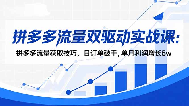 插图1–拼多多流量双驱动实战课:拼多多流量获取技巧,日订单破千,单月利润增长5w–免费资源分享站