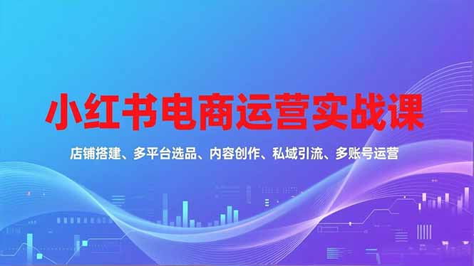 插图1–小红书电商运营实战课，店铺搭建、多平台选品、内容创作、私域引流、多账号运营等玩法–免费资源分享站