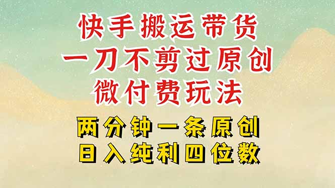 插图1–快手黑科技搬运带货,一刀不剪过原创,微付费投流玩法,轻松日入四位数...–免费资源分享站
