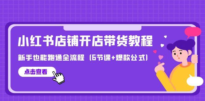 插图1–(9883期)最新小红书店铺开店带货教程,新手也能跑通全流程(6节课+爆款公式)–免费资源分享站