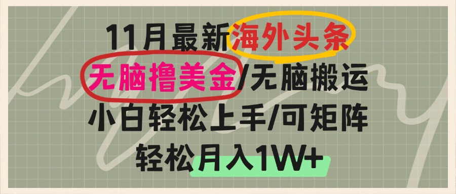 中创网