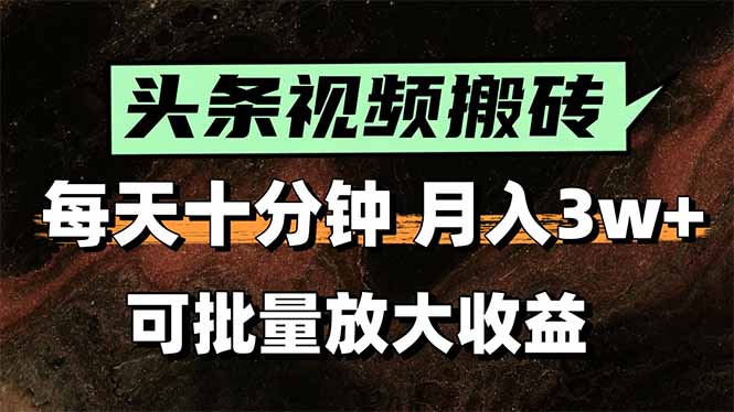 中创网