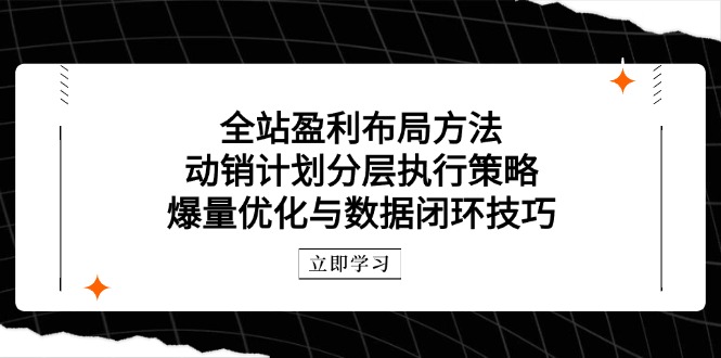 插图1–全站盈利布局方法:动销计划分层执行策略,爆量优化与数据闭环技巧–免费资源分享站