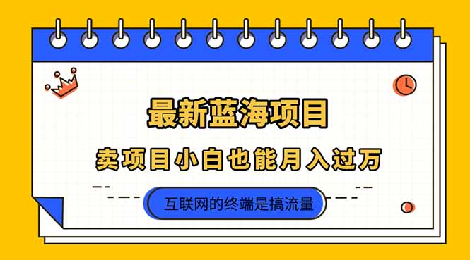 中创网
