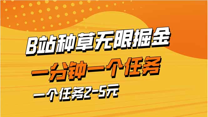 中创网