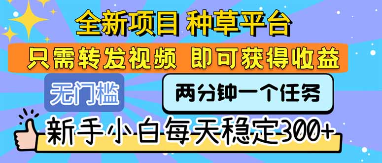 中创网