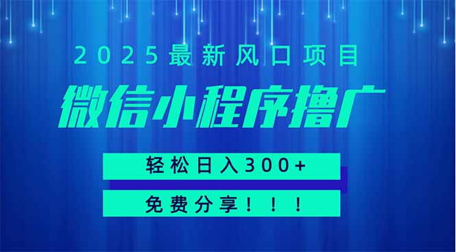 插图1–微信小程序撸广，最新风口项目，日入300+ 免费分享 可批量操作 小白可...–免费资源分享站