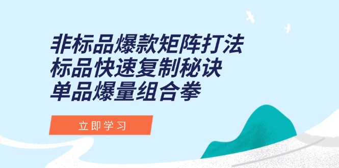 插图1–非标品爆款矩阵打法,标品快速复制秘诀,单品爆量组合拳–免费资源分享站