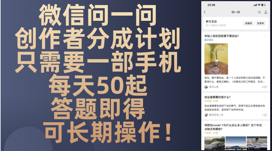 中创网