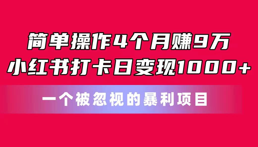 中创网