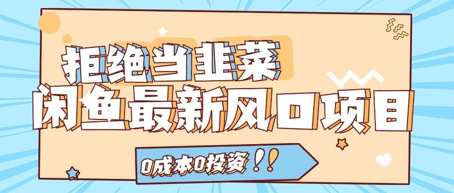 中创网