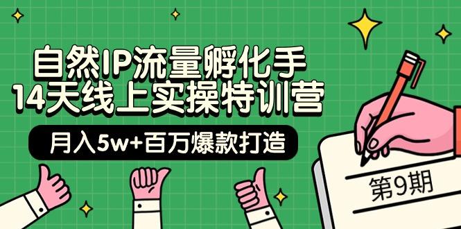 插图1–(9881期)自然IP流量孵化手 14天线上实操特训营【第9期】月入5w+百万爆款打造 (74节)–免费资源分享站