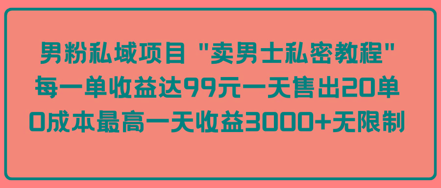 中创网
