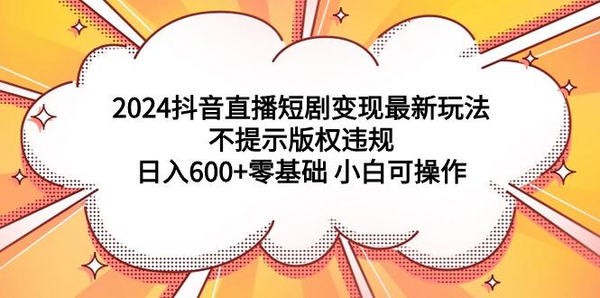中创网