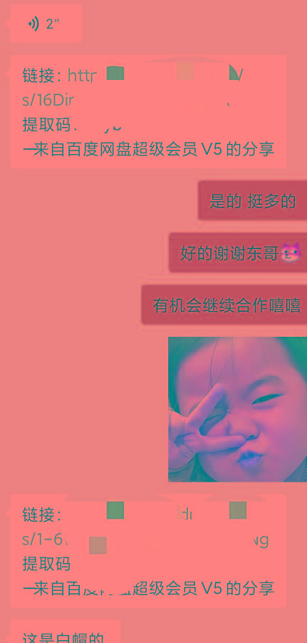 插图5–某收费培训：如何一个月快速做出盈利的资源网站(实打实经验)-18节无水印–免费资源分享站