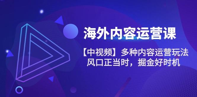 中创网