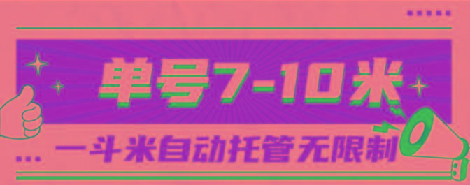 中创网