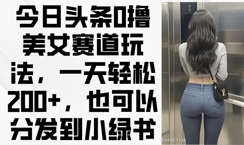 中创网