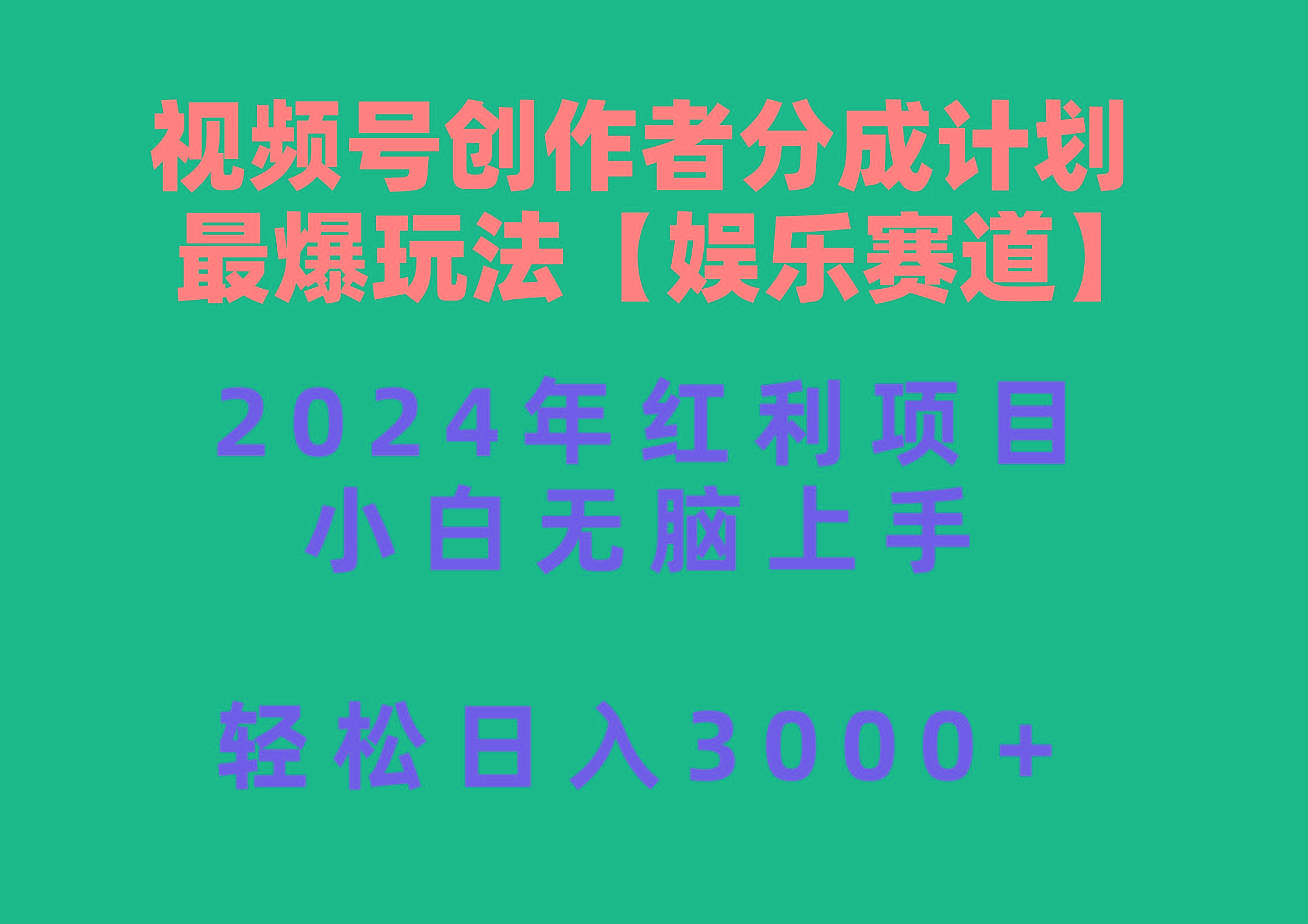 中创网