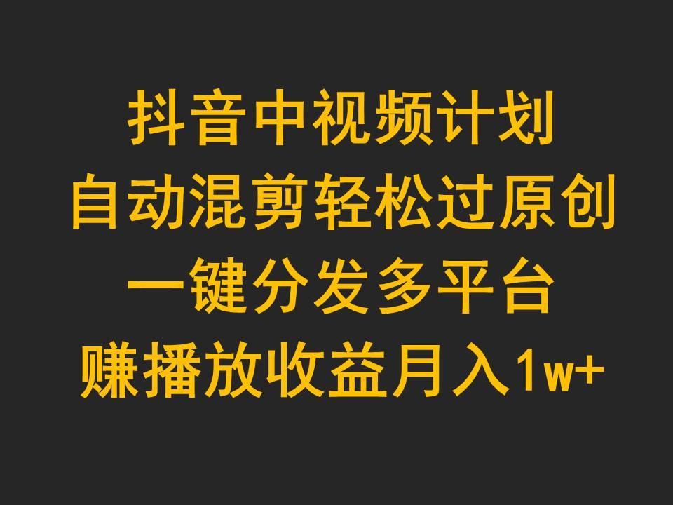 中创网