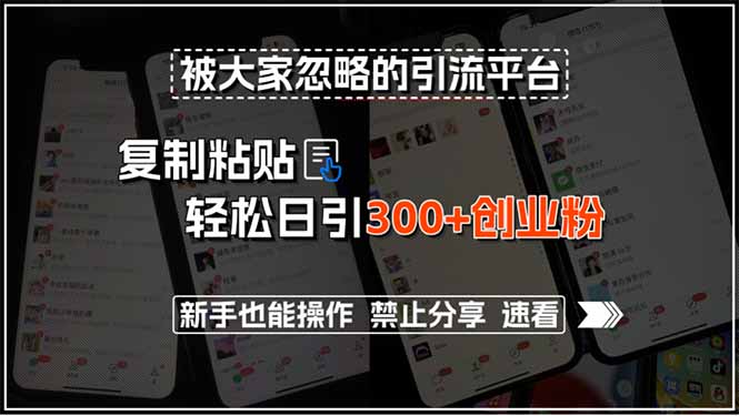插图1–被大家忽略的引流平台,复制粘贴轻松日引300+创业粉,新手也能操作,禁...–免费资源分享站