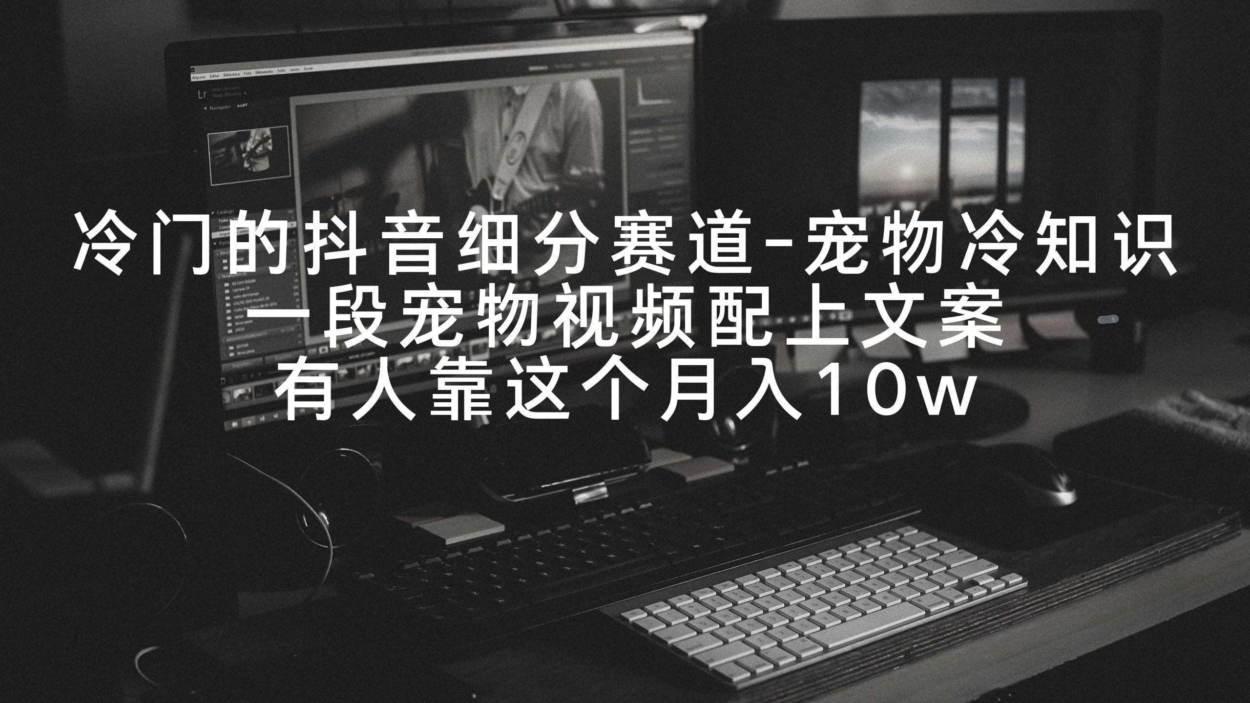 中创网