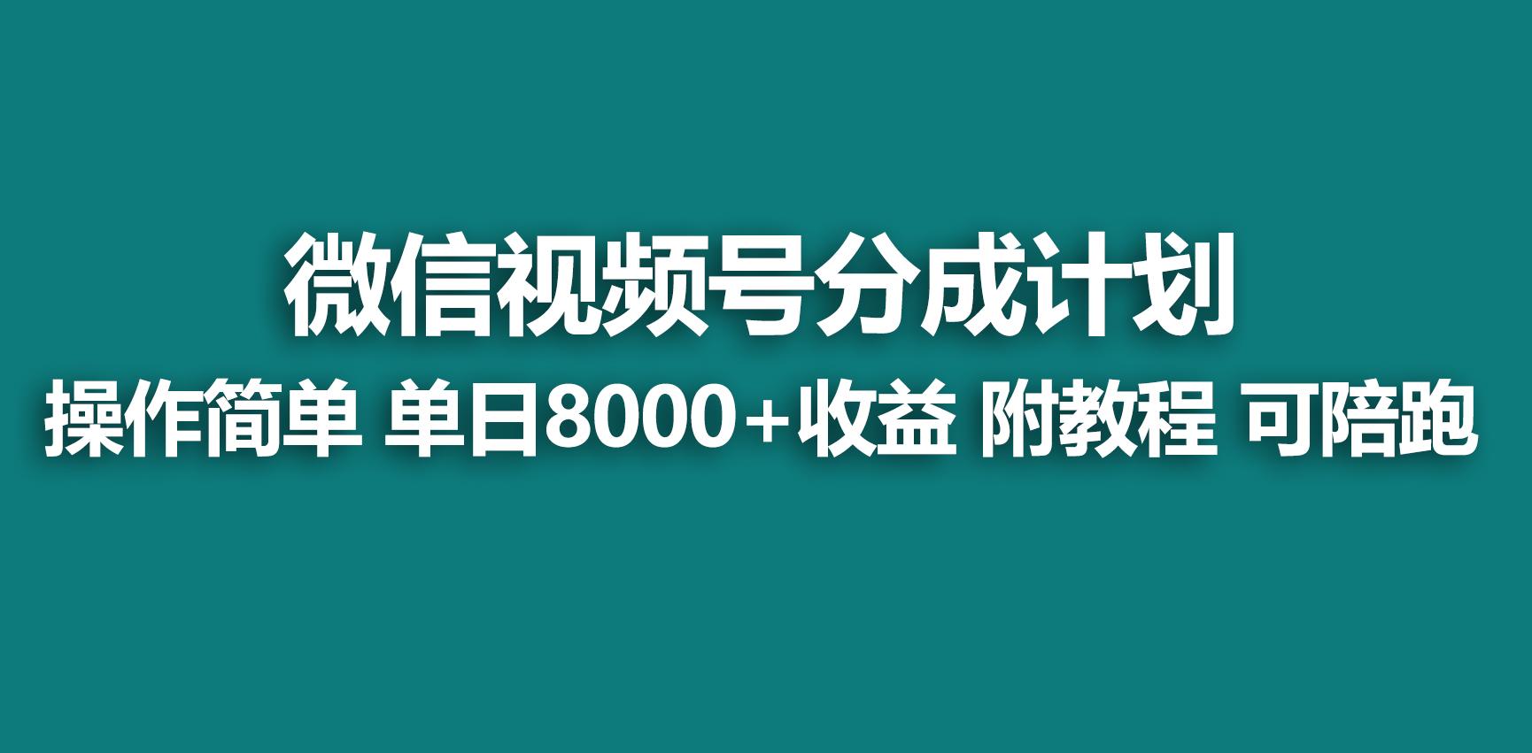 中创网
