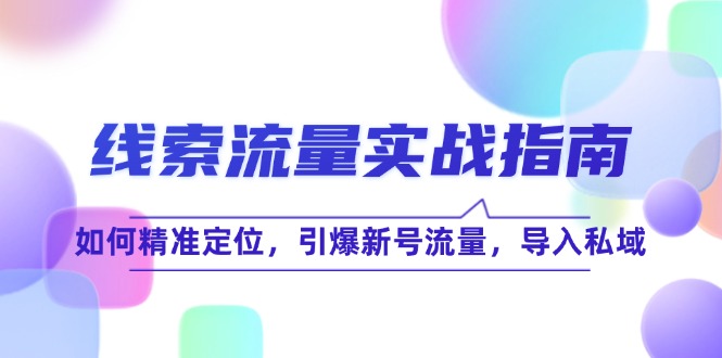 插图1–线 索 流 量-实战指南:如何精准定位,引爆新号流量,导入私域–免费资源分享站