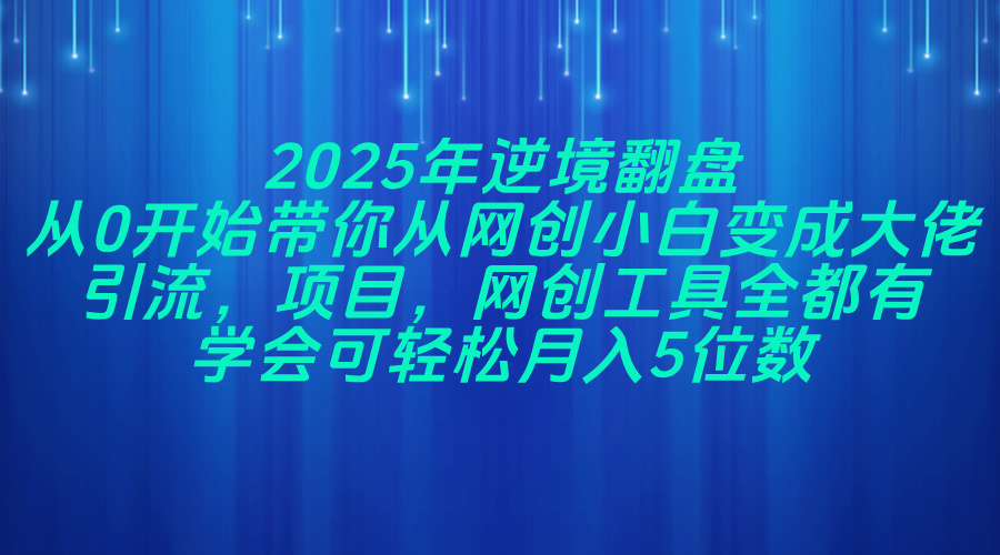 插图1–2025年逆境翻盘，从0开始带你从网创小白变成大佬，引流，项目，网创工...–免费资源分享站
