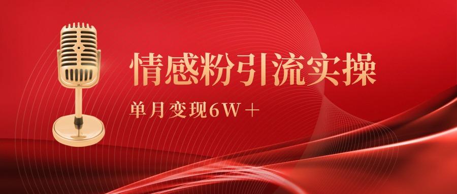 插图1–(9473期)单月变现6w+，情感粉引流变现实操课–免费资源分享站