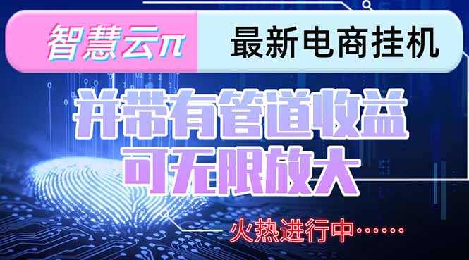 插图1–智慧云π电脑挂机单机每天收益300—500+ 并带有团队管道收益 可无限放大–免费资源分享站
