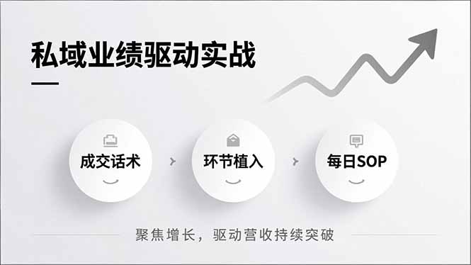 插图1–私域业绩驱动实战,成交话术、环节植入、每日SOP,聚焦增长,驱动营收持续突破–免费资源分享站
