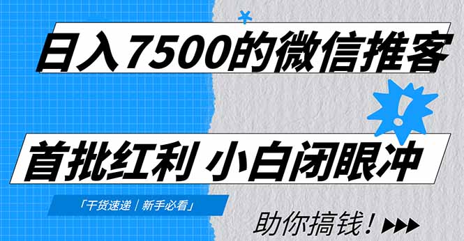 中创网