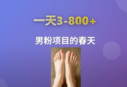 冒泡网赚