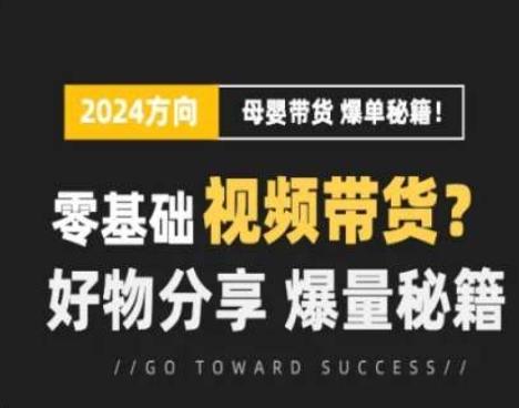 短视频母婴赛道实操流量训练营,零基础视频带货,好物分享,爆量秘籍