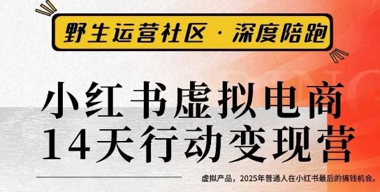 小红书虚拟电商14天变现训练营3.0,虚拟产品,2025年普通人在小红书最后的搞钱机会
