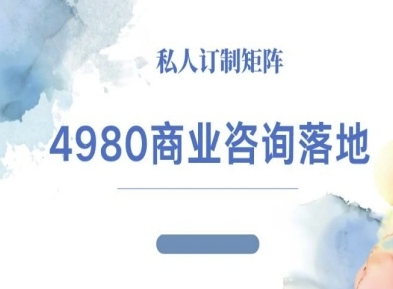 4980商业咨询师落地课程-ip运营高客单教程