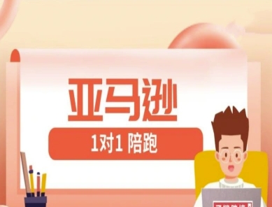 亚马逊1对1陪跑课(FBA/FBM精铺)跨境亚马逊教程