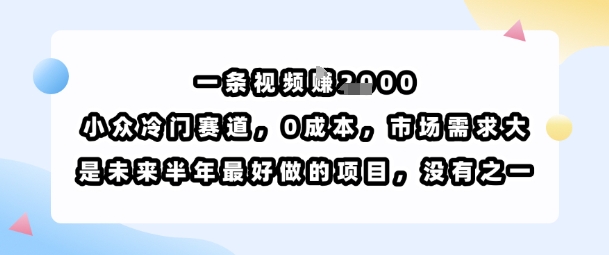 一条视频挣1k,小众冷门赛道,0成本,市场需求大,是未来半年最好做的项目,没有之一
