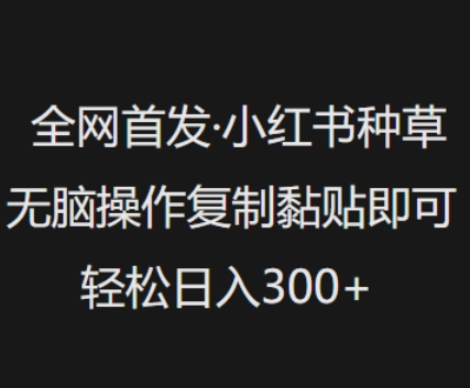 全网首发,小红书种草无脑操作,复制黏贴即可,轻松日入3张