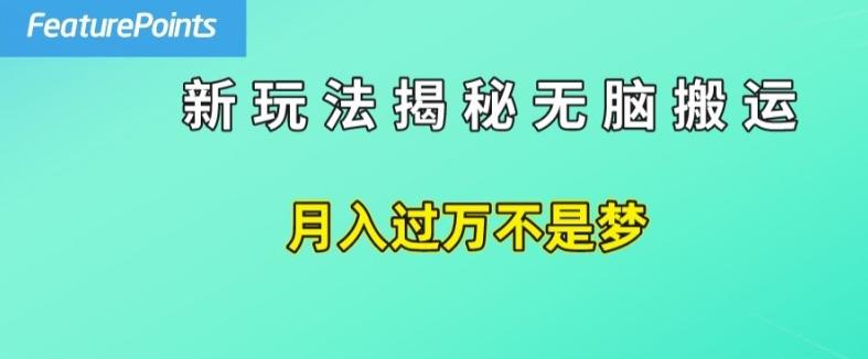 简单操作,每天50美元收入,搬运就是赚钱的秘诀【揭秘】