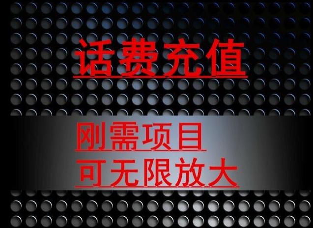 最新蓝海项目,刚需赛道,95折充话费月入5位数