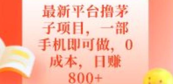 最新平台撸茅子项目,一部手机即可做,0成本,日赚800+