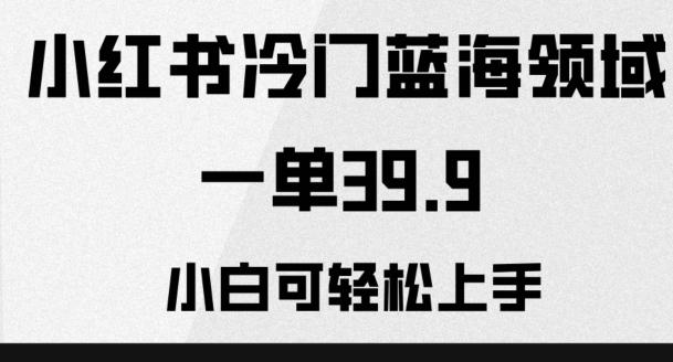 小红书冷门蓝海领域,一单39.9,小白可轻松上手