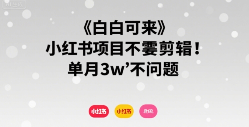 小白可来 小红书项目不需要剪辑 单月3w不是问题